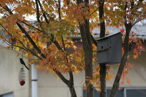 c0186463_164475.jpg