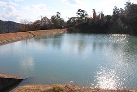 e0175370_101755.jpg