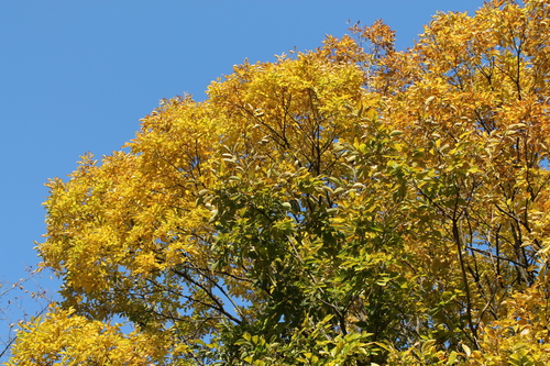 f0054677_9112589.jpg