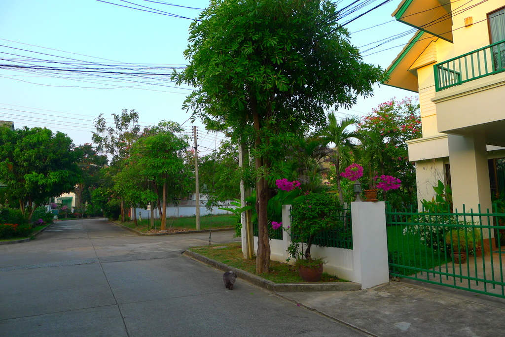 f0178278_10553458.jpg