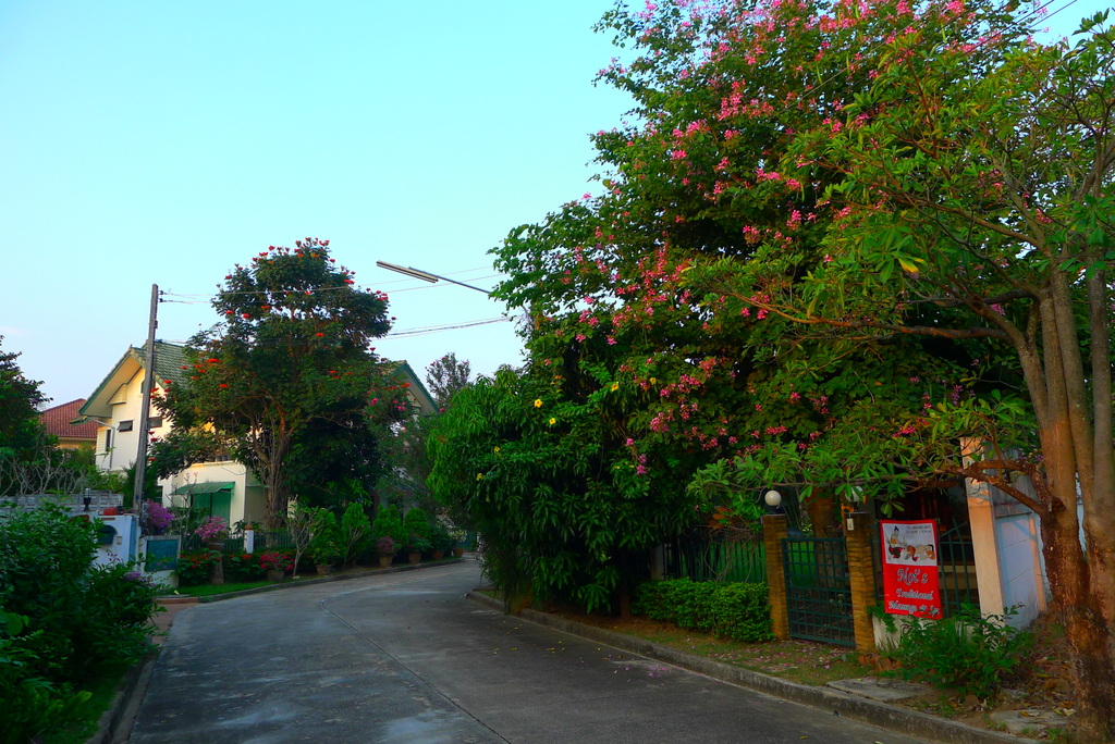f0178278_111029.jpg