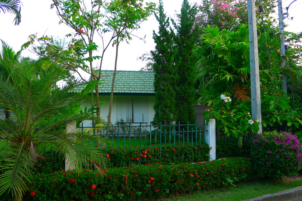 f0178278_11181825.jpg