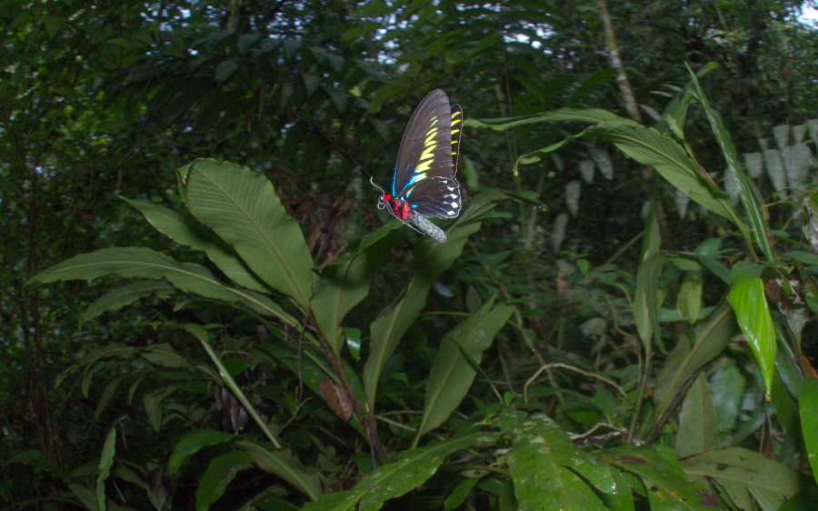 f0090680_2256747.jpg