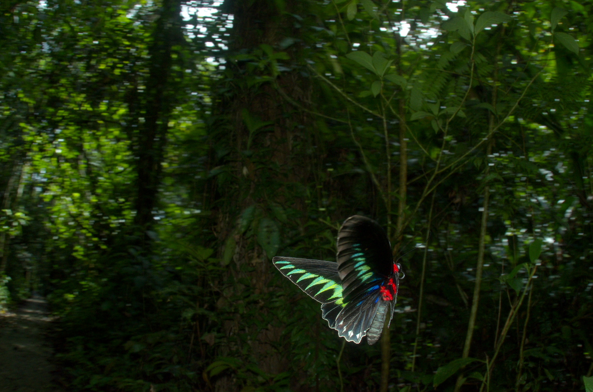 f0090680_2257234.jpg