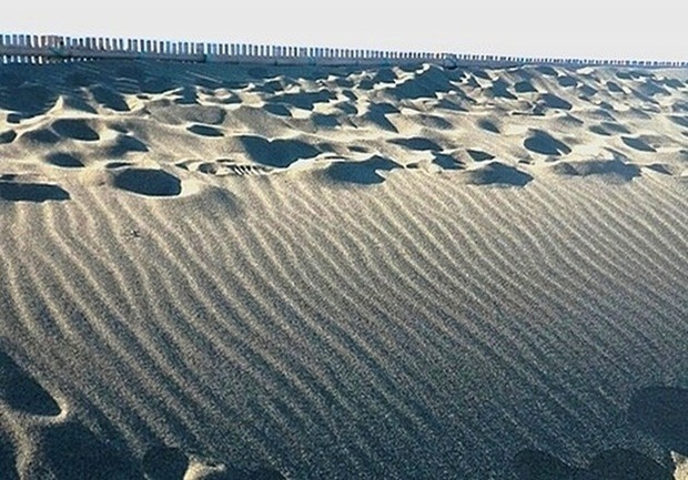 e0143690_6203062.jpg