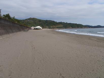 a0125598_1727125.jpg