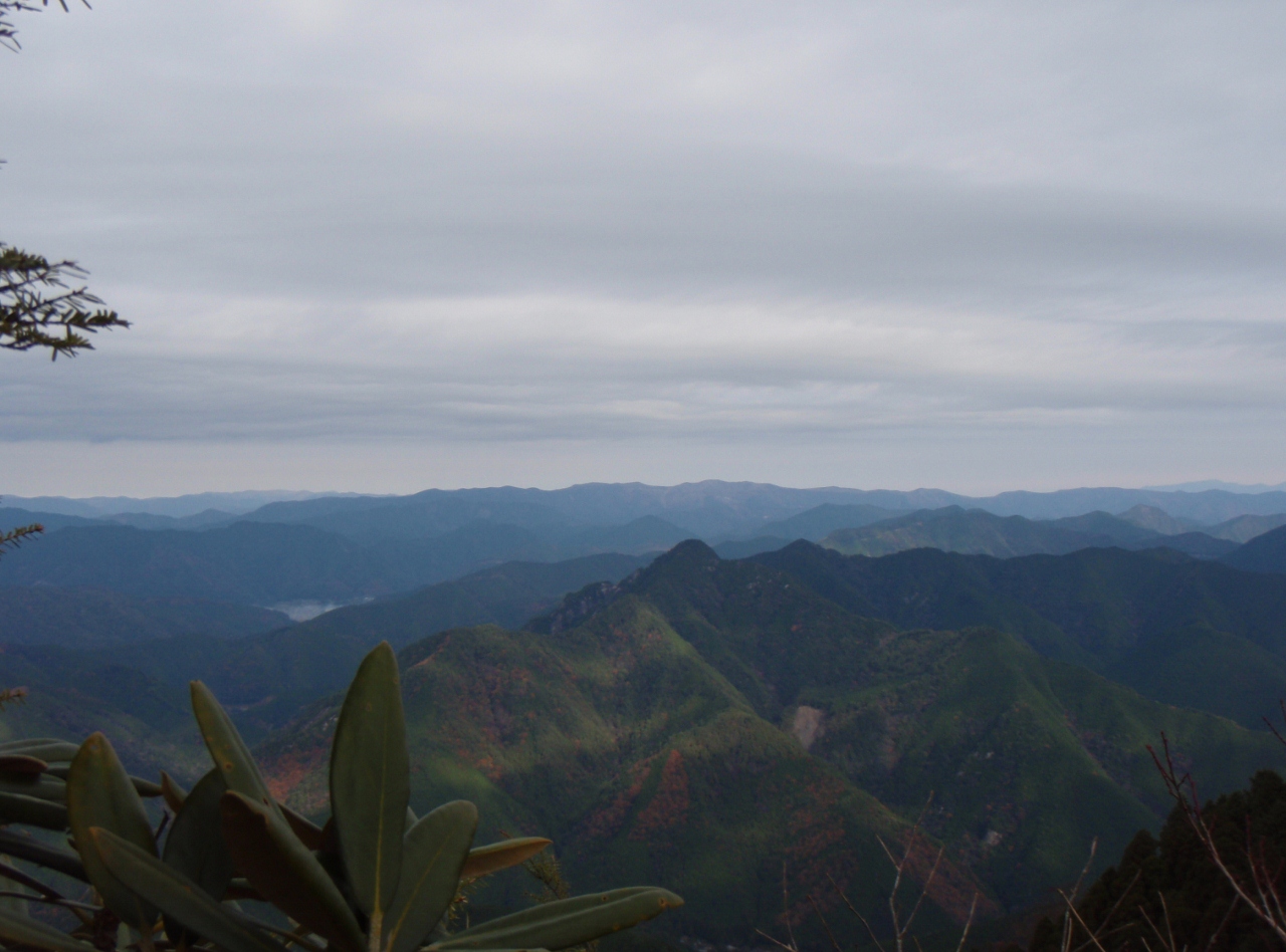 b0039898_1227752.jpg