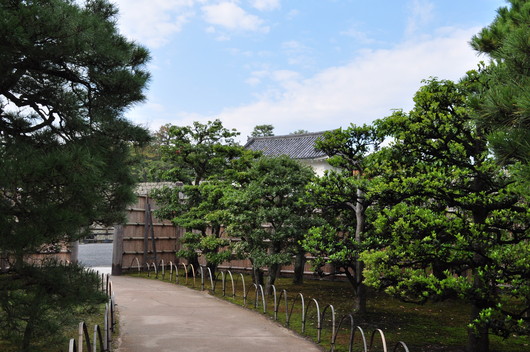 e0007801_10422934.jpg