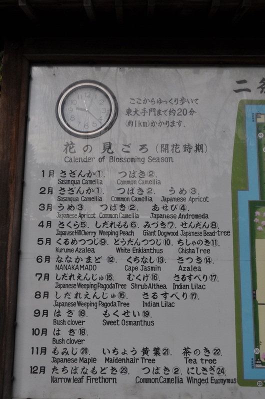 e0007801_1049469.jpg