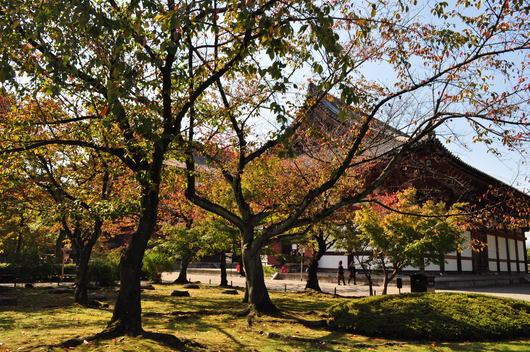 e0007801_10554640.jpg