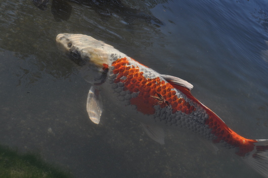e0007801_10573426.jpg
