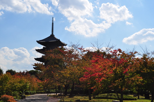 e0007801_111614.jpg