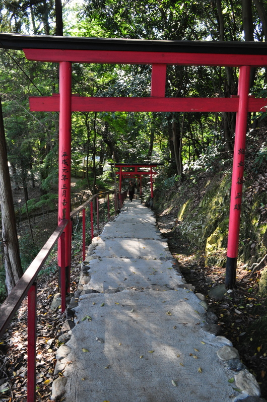e0007801_1182899.jpg