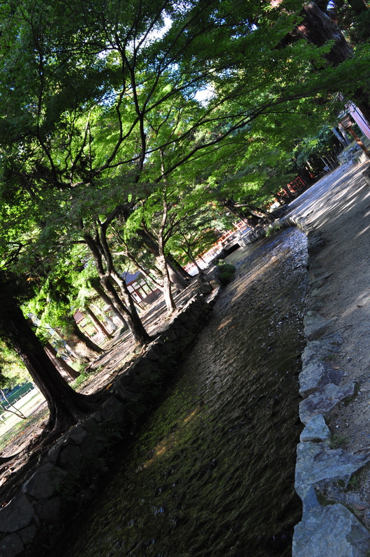 e0007801_118596.jpg