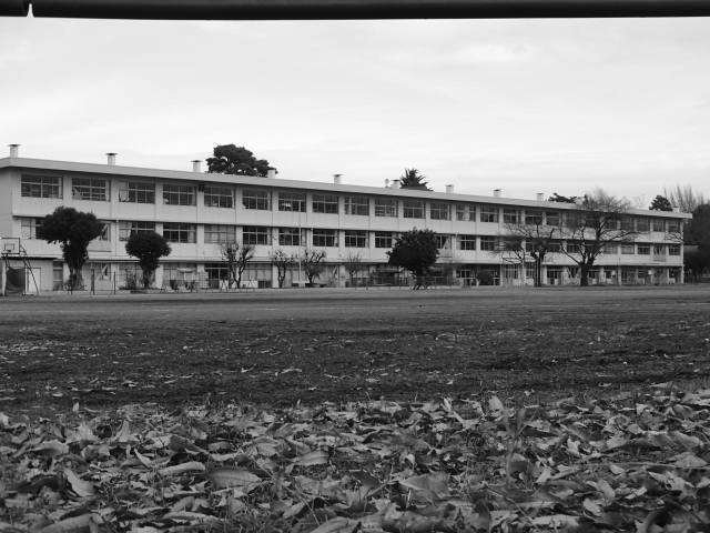 f0147602_14143180.jpg