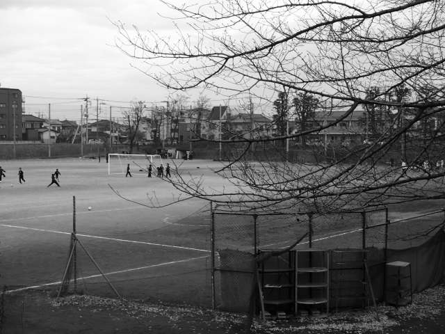 f0147602_14401898.jpg