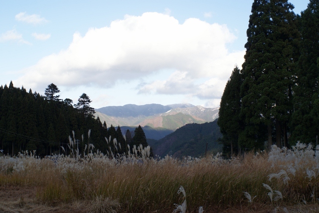 f0144707_942428.jpg