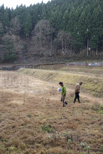 f0144707_945580.jpg