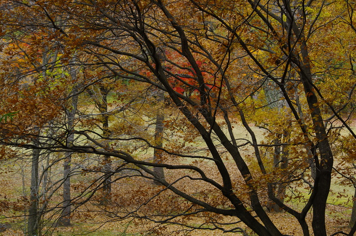 c0156908_0494946.jpg