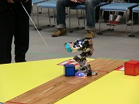 f0191517_1439465.jpg