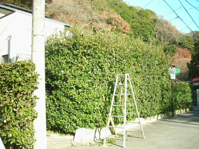 b0096418_1532175.jpg