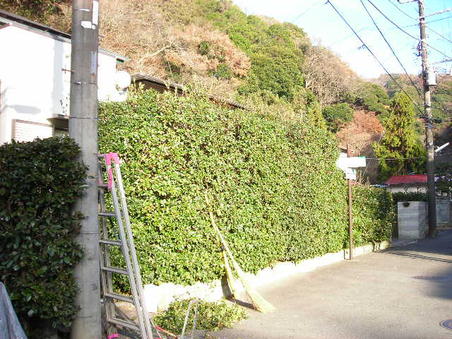 b0096418_15325337.jpg