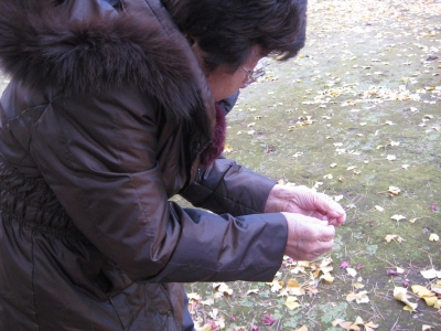 e0170519_22404733.jpg