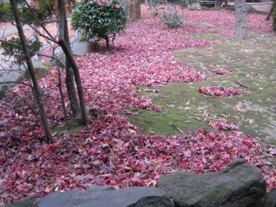 e0170519_2254398.jpg