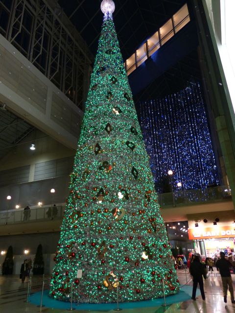 a0188023_7575938.jpg