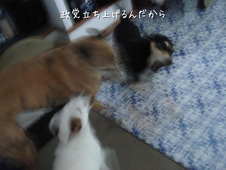 d0269832_8374640.jpg