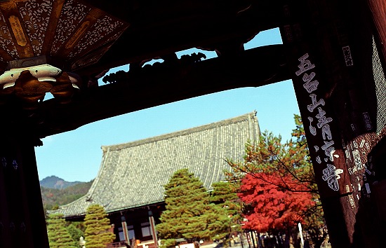 d0001533_945341.jpg