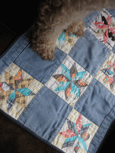 c0136736_10401263.gif