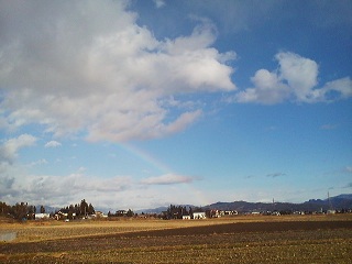 a0272241_175555.jpg