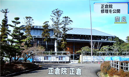 a0100742_935194.jpg