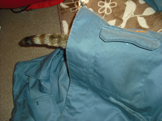 c0194042_1831611.jpg