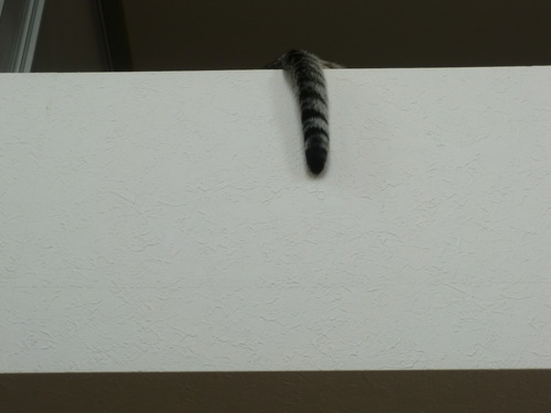 c0259945_207613.jpg