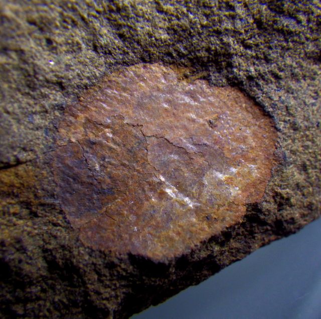e0290546_2150962.jpg