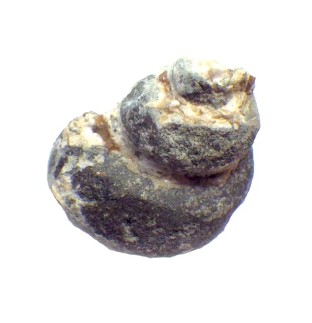 e0290546_21532514.jpg