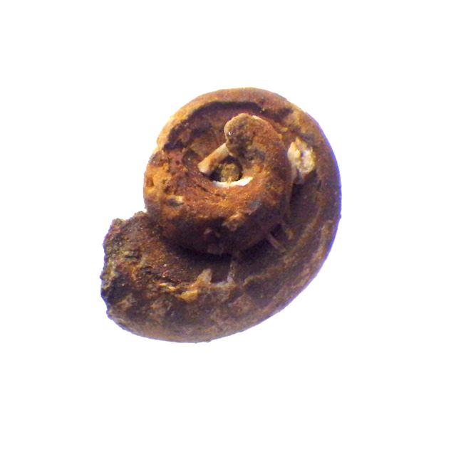 e0290546_21532722.jpg