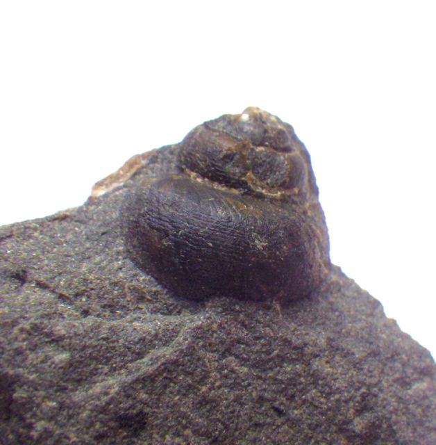 e0290546_21532933.jpg