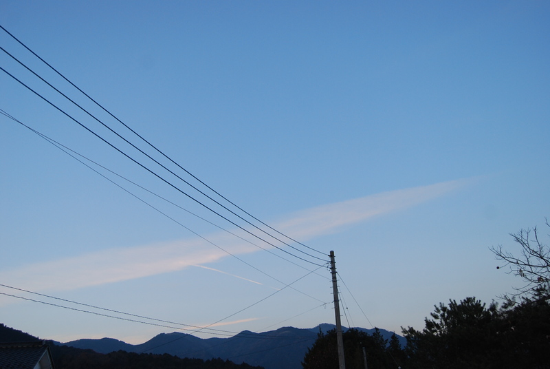 f0000148_0273093.jpg