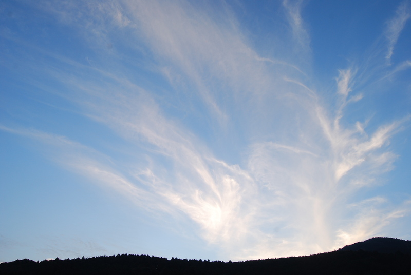 f0000148_027464.jpg