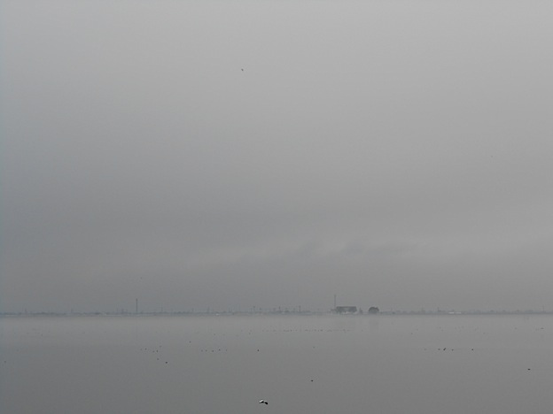 f0178153_2382766.jpg