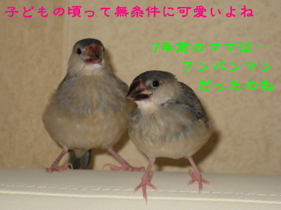 b0158061_21513397.jpg