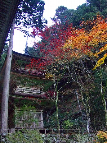 a0104162_23155023.jpg