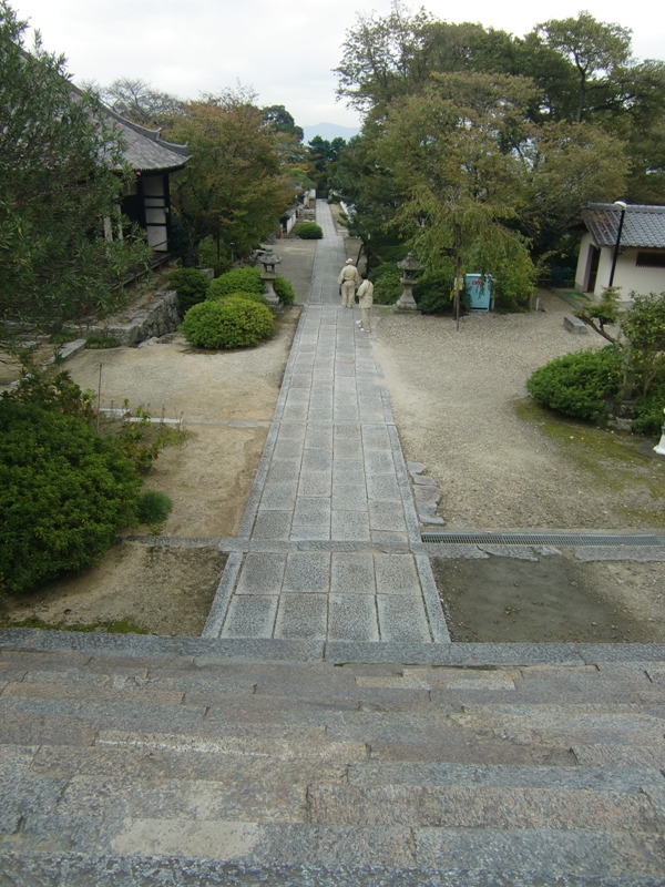 f0238779_854472.jpg