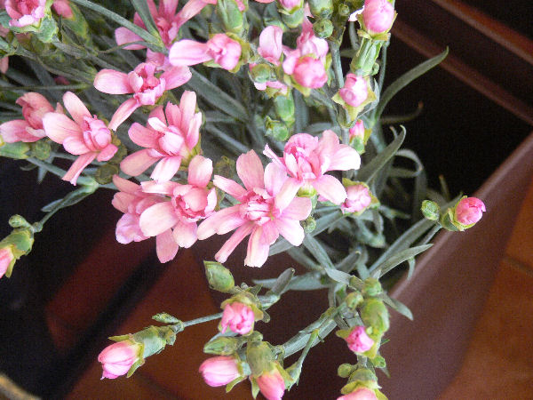 e0140986_1138914.jpg