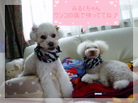 b0104592_20131251.jpg