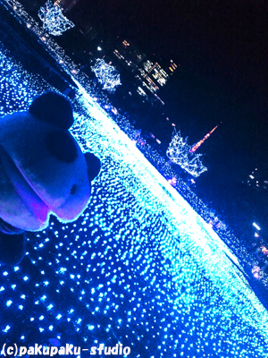 e0015195_023389.jpg