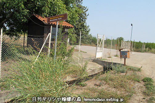 c0010496_22313541.jpg
